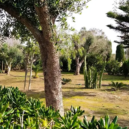Vakantiehuis Da Giusi Torre dell'Orso