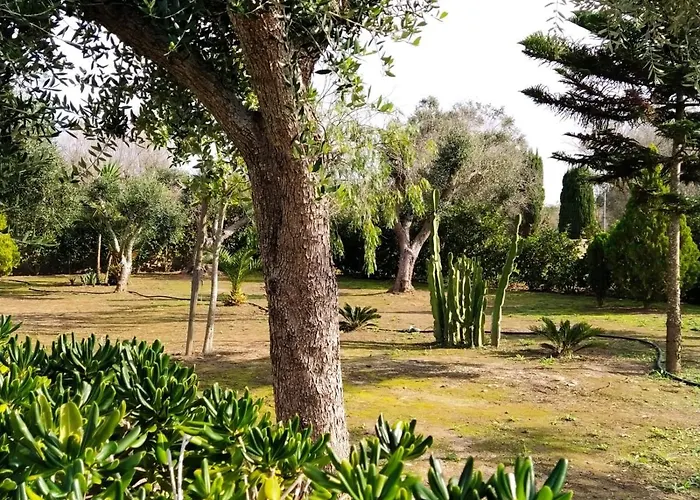 度假居 Da Giusi 托里德欧索